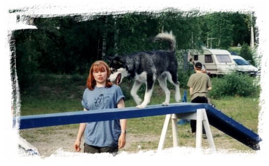 &copy; Anne Korhonen