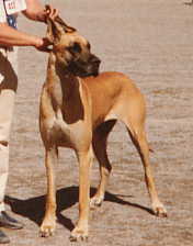 &copy; Paula Korhonen
-->Kopiointi EHDOTTOMASTI kielletty