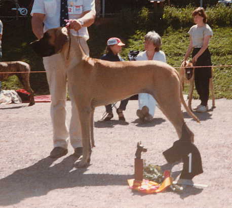 &copy; Paula Korhonen
-->Kopiointi EHDOTTOMASTI kielletty