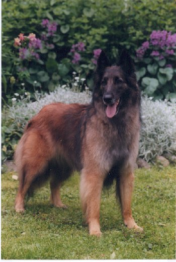 &copy Heikki & Sari Kurkela