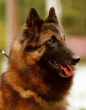 &copy; Heikki & Sari Kurkela