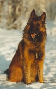 &copy; Heikki & Sari Kurkela