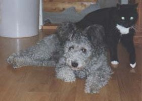 &copy Lena Johansson