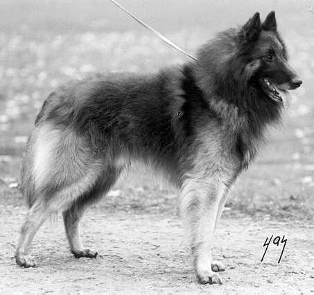 &copy; Heikki & Sari Kurkela