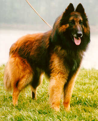 &copy; Heikki & Sari Kurkela