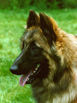 &copy; Heikki & Sari Kurkela