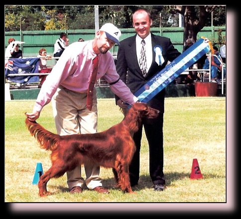 &copy; Pendoric Irish Setter