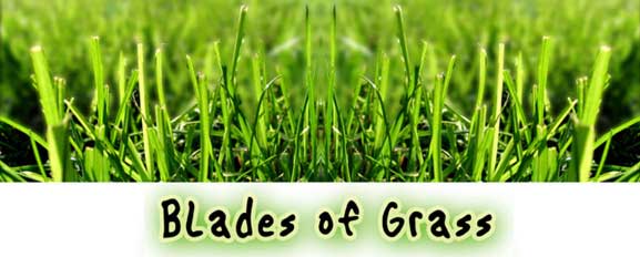 Janowski Films presents Blades of Grass