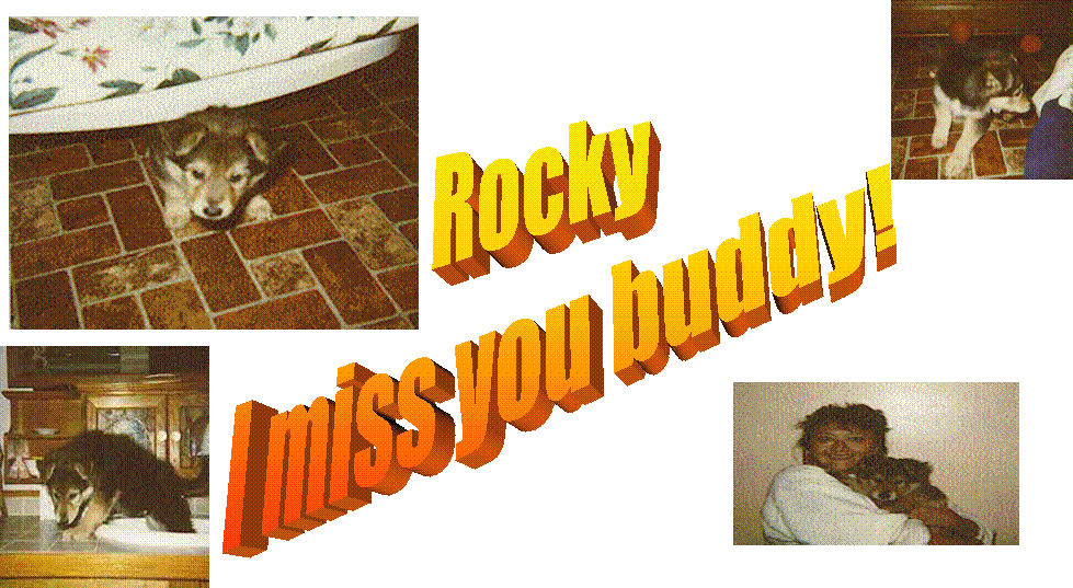 Rocky
I miss you buddy!