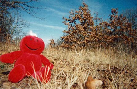 abstraction2.jpg (78683 bytes)