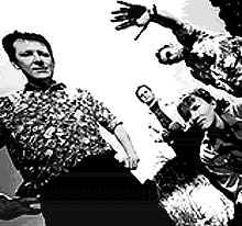 The Bats (they go together like chalk and cheese)