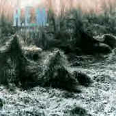 murmer.bmp (87094 bytes)