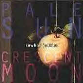 Pale Sun, Crescent Moon (1993)