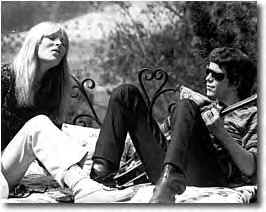 velvet.bmp (169654 bytes)