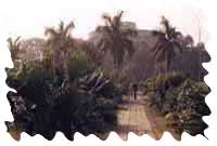 stucbest.jpg (4643 bytes)