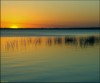 Sunset on Lake Monroe (Fla.)