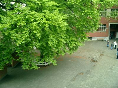 View on the larger playground
