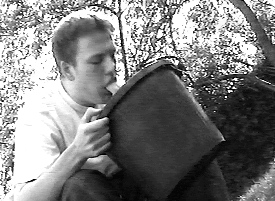 antsickshot.jpg (41235 bytes)