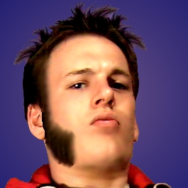 antsids.jpg (38396 bytes)