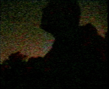 leedspaddy.jpg (40419 bytes)