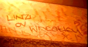 linzi.jpg (34109 bytes)