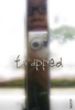 trapped
