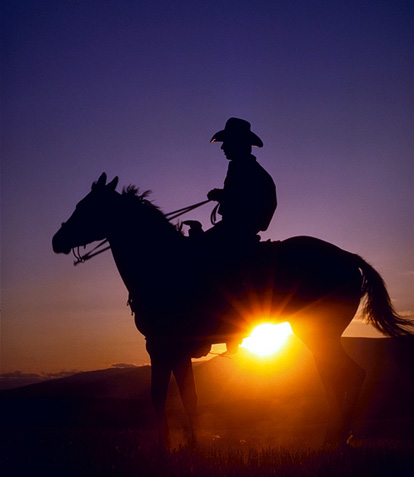 Ride Em Cowboy [2003]