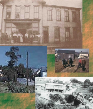 Shots of Barrackville's Past...Prim's Store, John Ice and Horses, Steel Bridge and Tony Surgi's, and Drummond's Tree