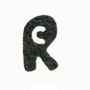 Ranger Sailing Canoe