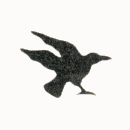 Raven