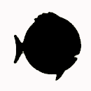 Sunfish