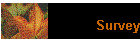 Survey