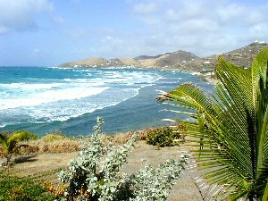 sssoceanviewlr300.jpg (27564 bytes)