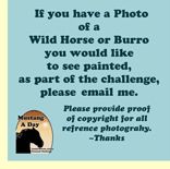Suggest a horse for the Challenge