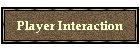 Player Interaction