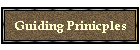 Guiding Prinicples