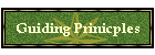 Guiding Prinicples