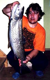 seatrout-13 pounder