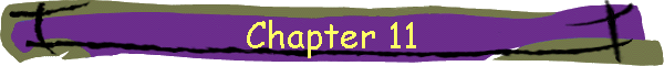 Chapter 11