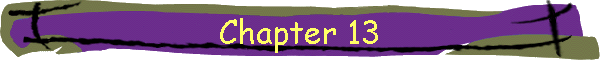 Chapter 13