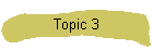 Topic 3