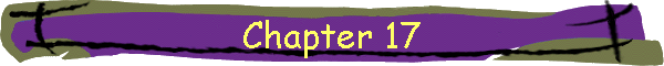 Chapter 17
