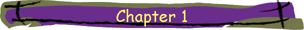 Chapter 1