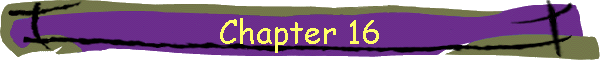 Chapter 16
