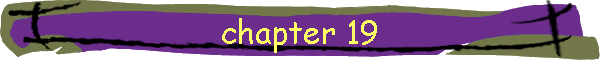 chapter 19