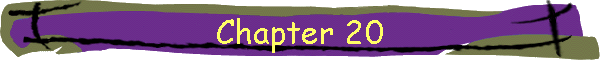 Chapter 20