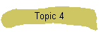 Topic 4