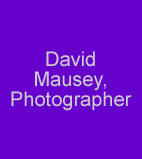 David Mausey, Photographer