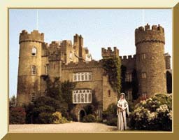 Dayiel's Castle Home