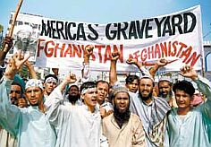 This is what we're up against . . .